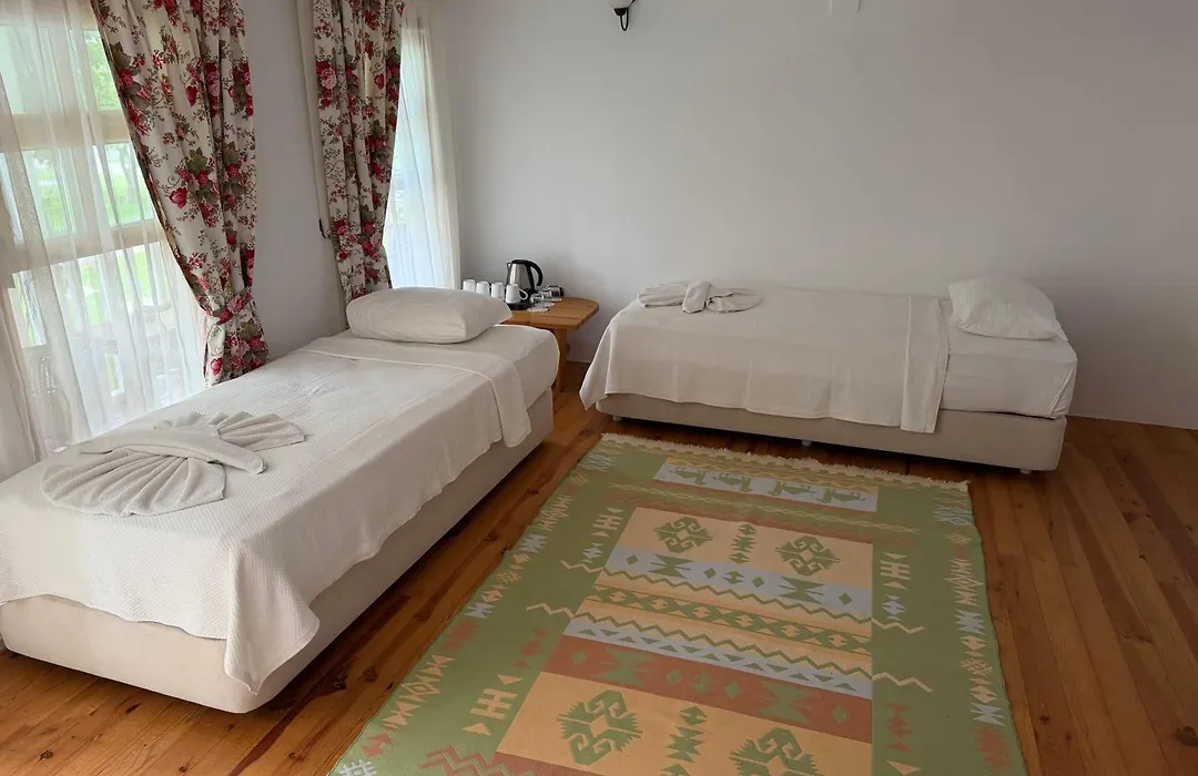 Blue Star Hotel-1