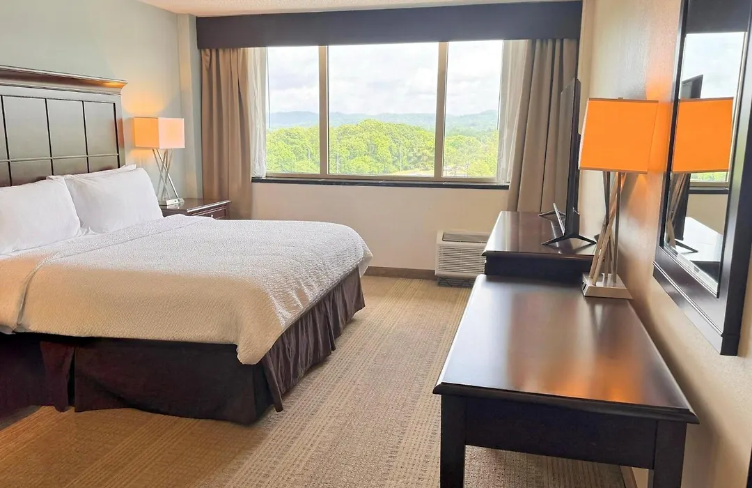Holiday Inn Birmingham-Airport By Ihg-1