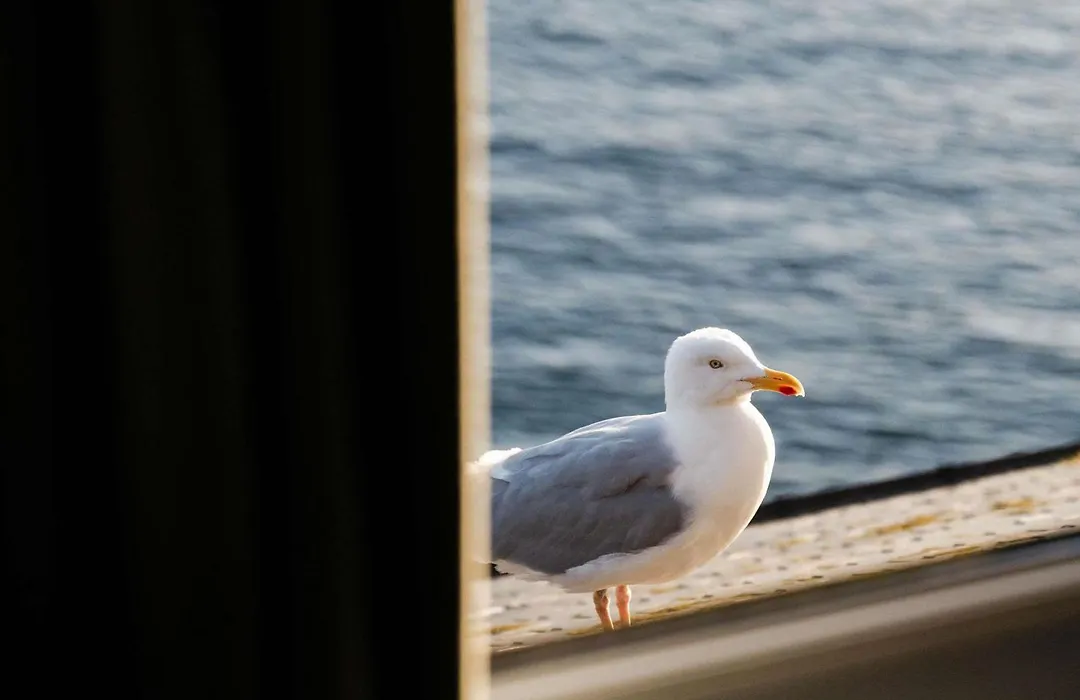 Hotel Mercure Roscoff Bord De Mer-1