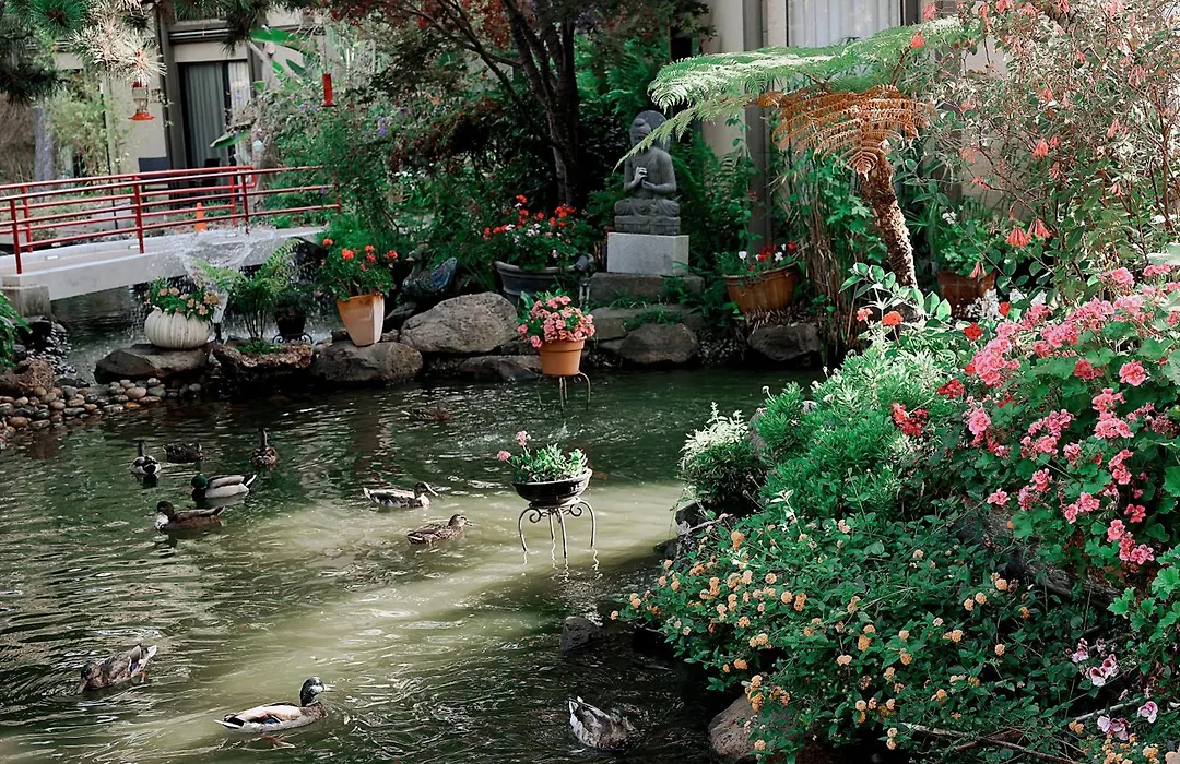 Dinah'S Garden Hotel-1