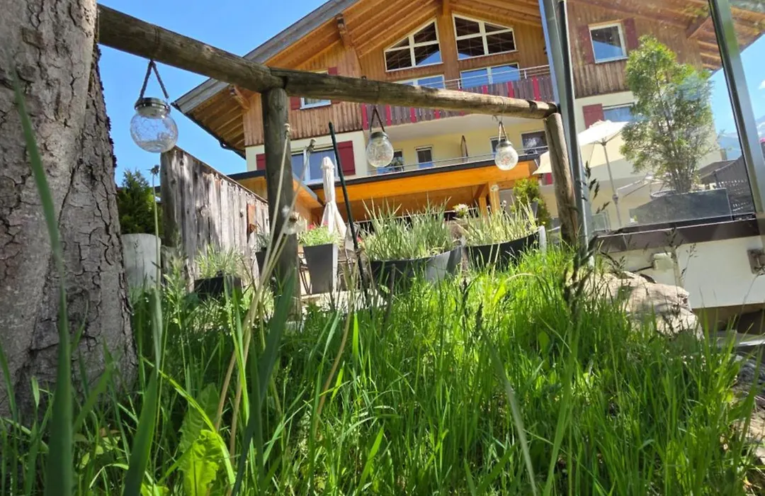 Hotel Steinbock-1