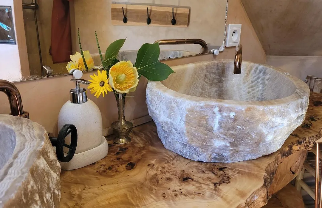 Le Manoir des Pélies Gîte et Chambres d'hôtes de charme à 6kms de Conques Spa, Piscine, Rivière, Thermes de Cransac-1