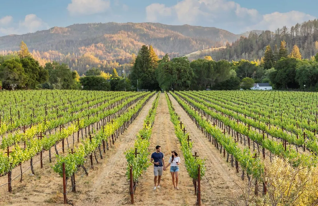Alila Napa Valley, A Hyatt Resort-1