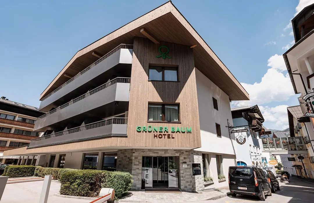 Hotel Gruener Baum-1