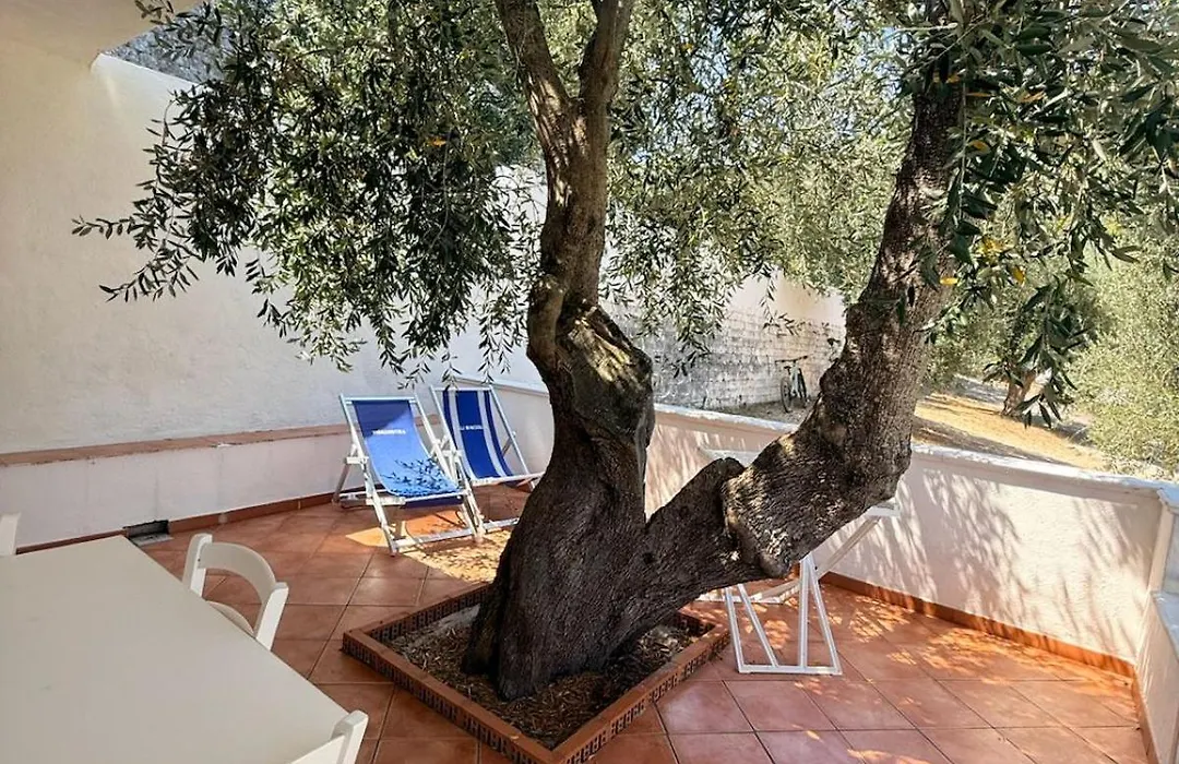 Vignanotica Beach Apartments-1