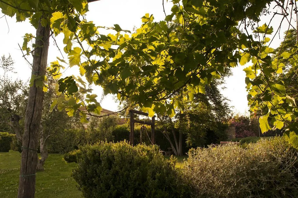 Podere Turicchio-1