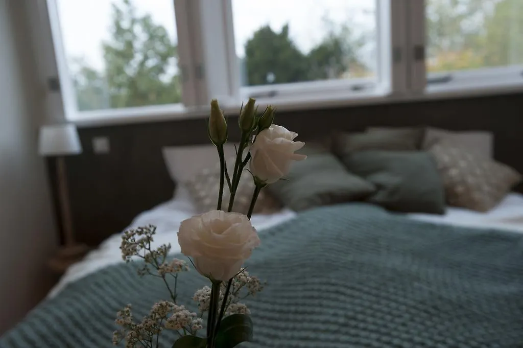 Boutique B&B Villa Heidetuin-1