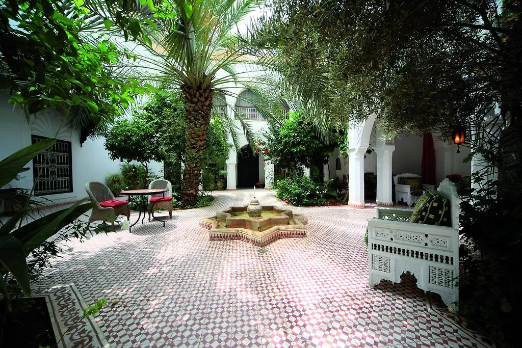 Riad Ifoulki-1