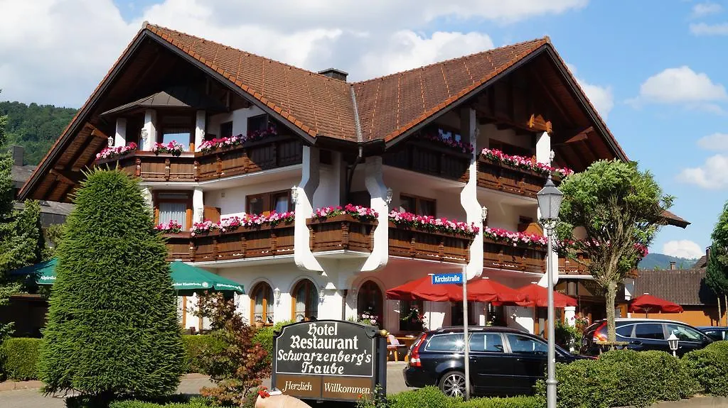 Hotel Schwarzenbergs Traube-1