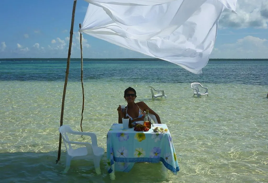 Caraibidamari-1