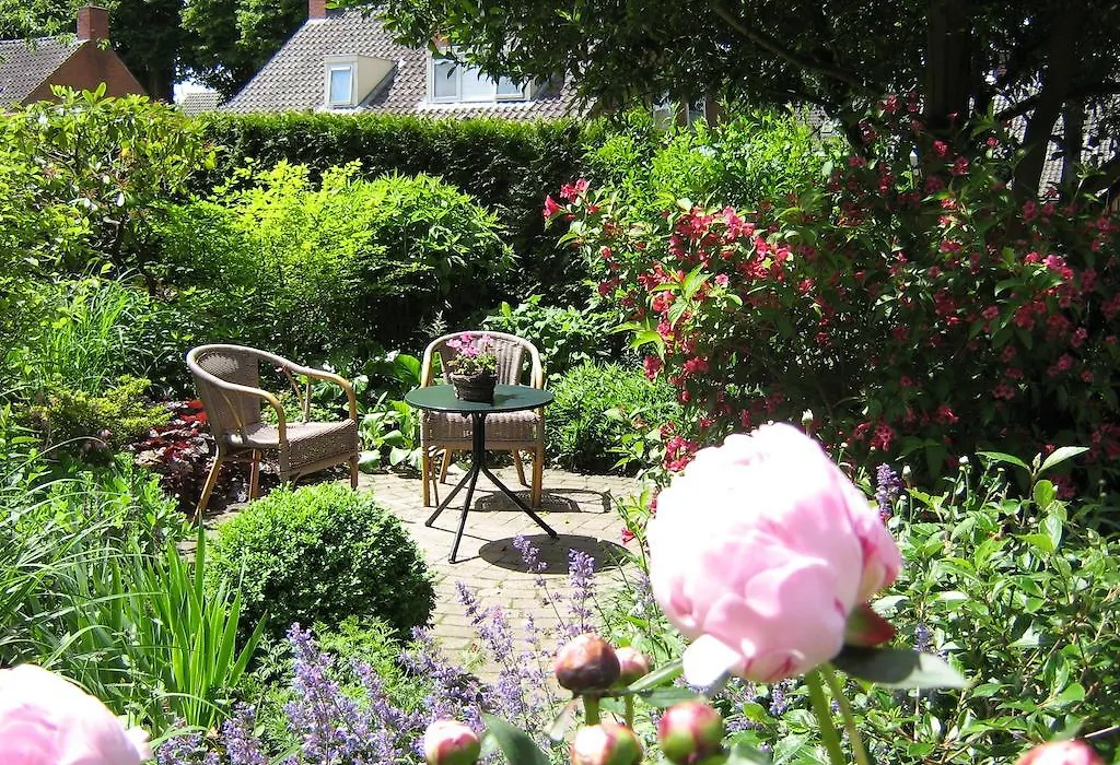 B&B De Esdoorn-1