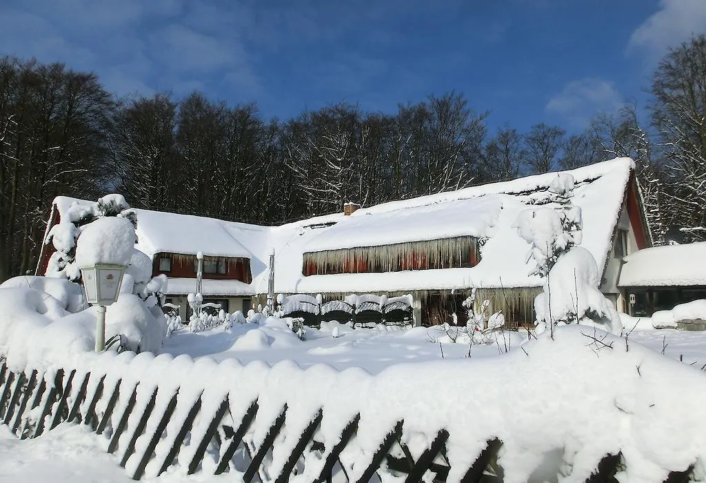 Hotel Baumhaus Hagen-1