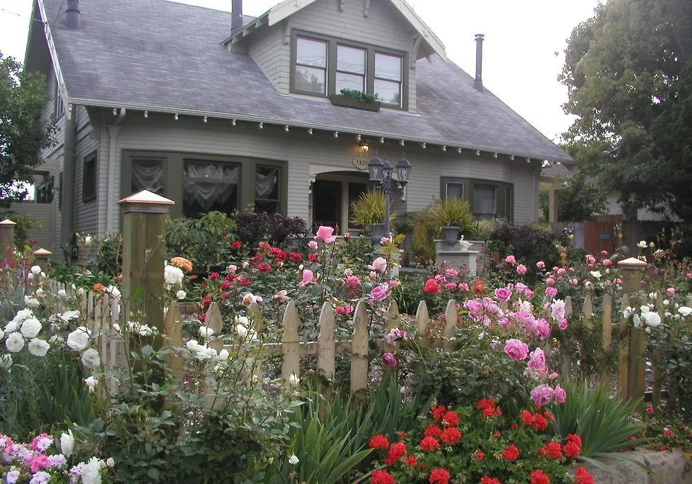 A White Jasmine Inn-1