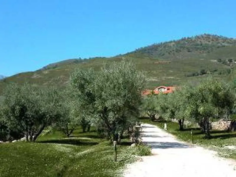 La Sayuela-1