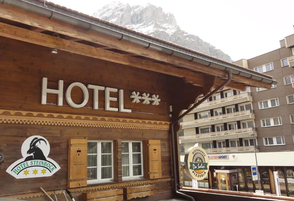 Hotel Steinbock-1