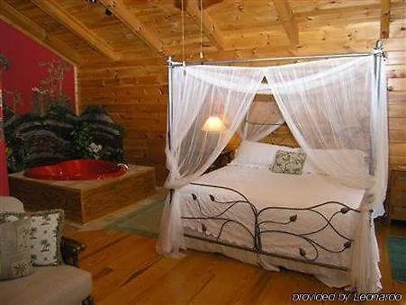 Black Forest Bed & Breakfast-1