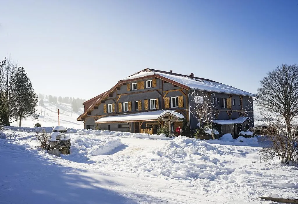 Hôtel Le Manoir des Montagnes-1