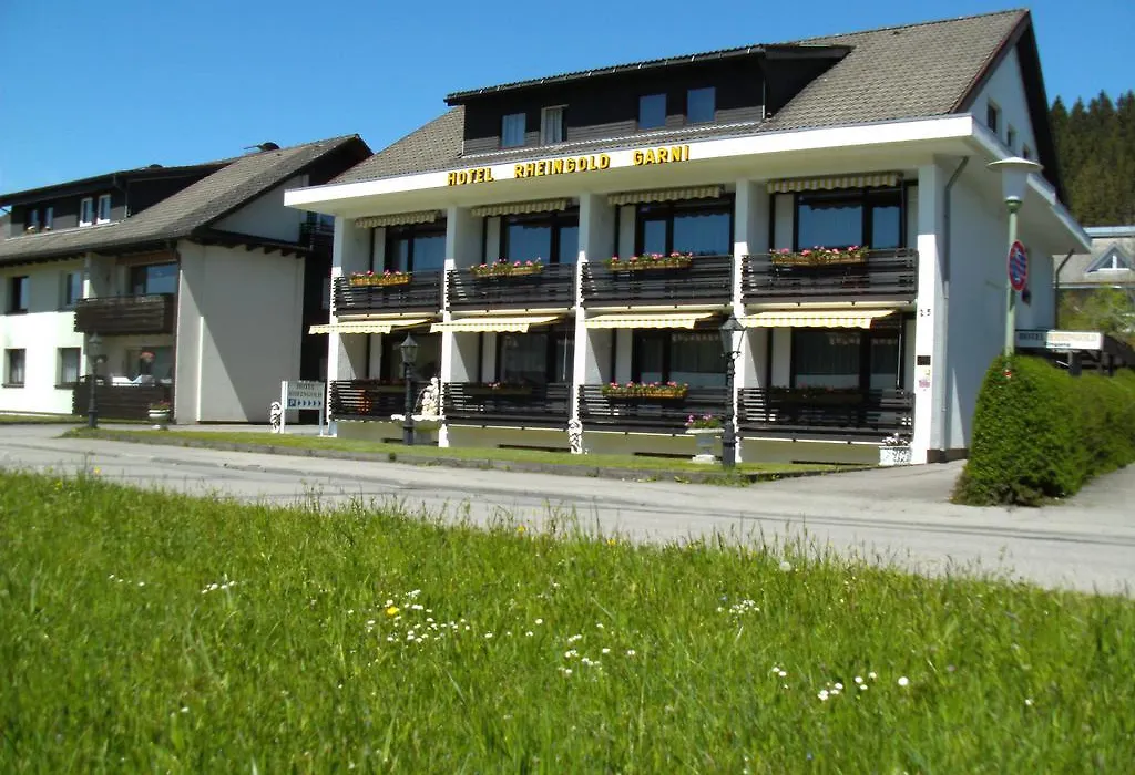 Hotel Rheingold Garni-1