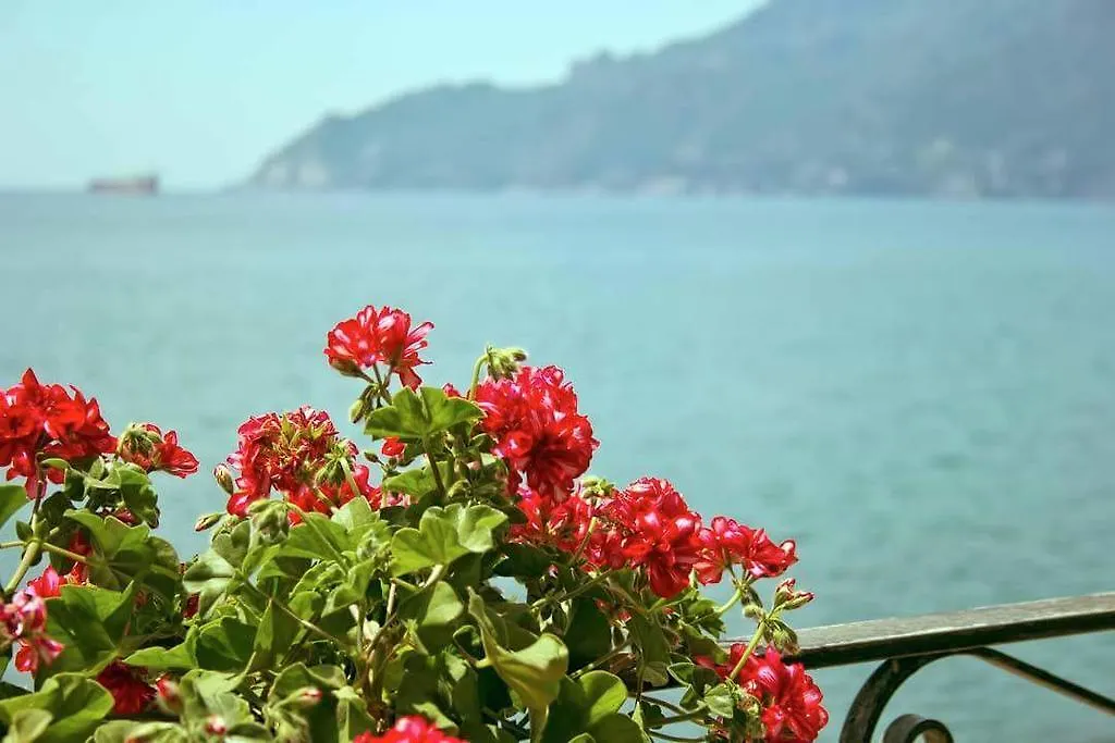B&B Fronte Del Mare-1