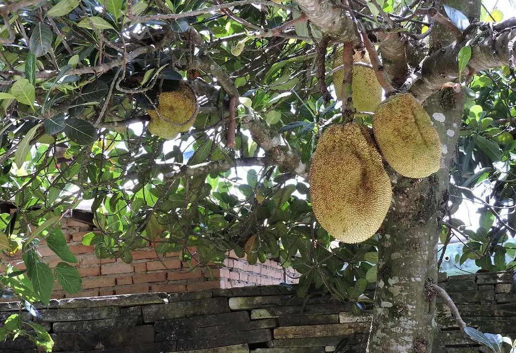 Pousada Casa da Serra-1