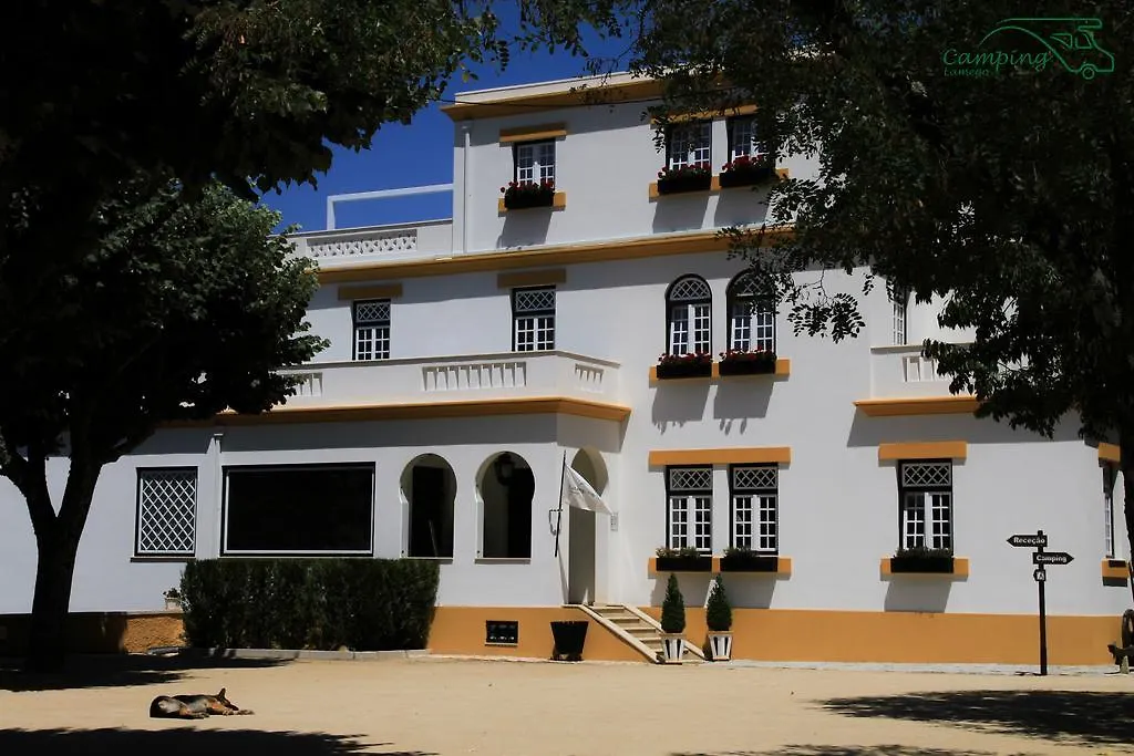 Camping Lamego Douro Valley-1