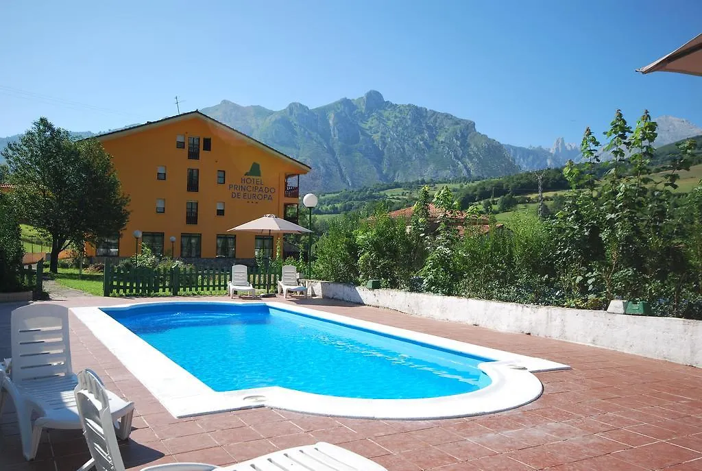 Hotel Principado De Europa-1