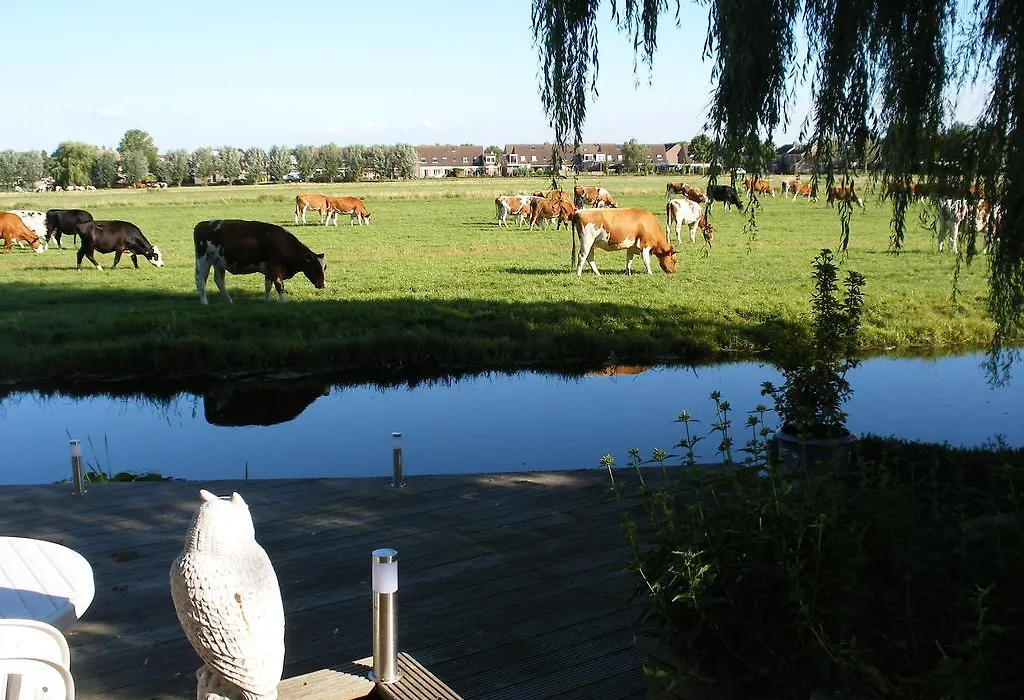 B&B-Edam-1