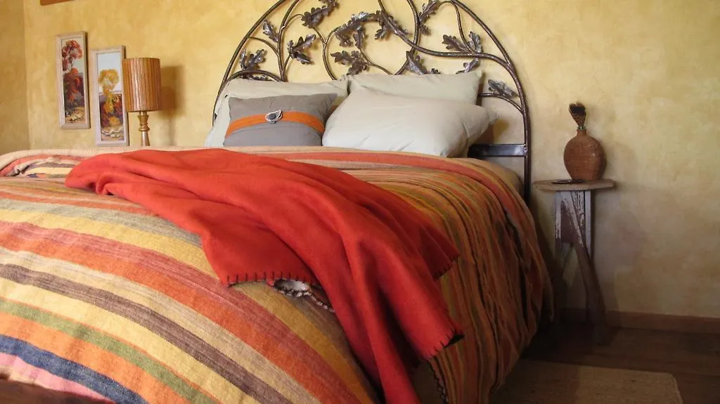 Star Of Texas Bed & Breakfast-1
