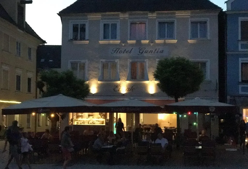 Hotel Guntia-1