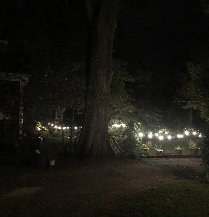 The Claremont House Bed & Breakfast-1
