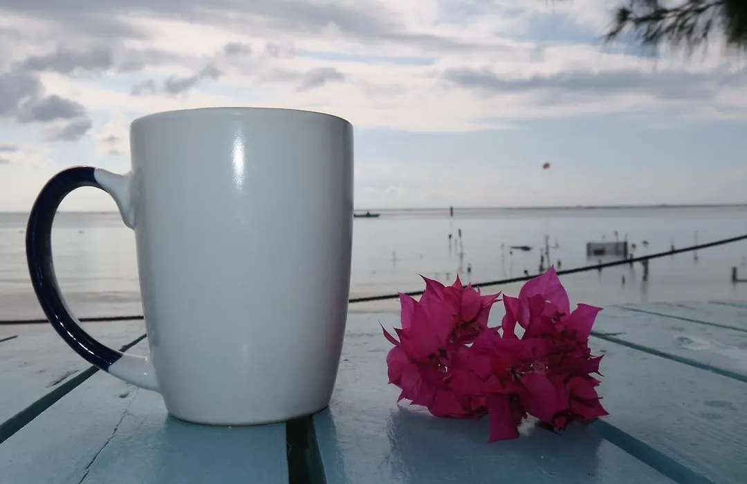 Eco Hotel Club Rolling Stone-1