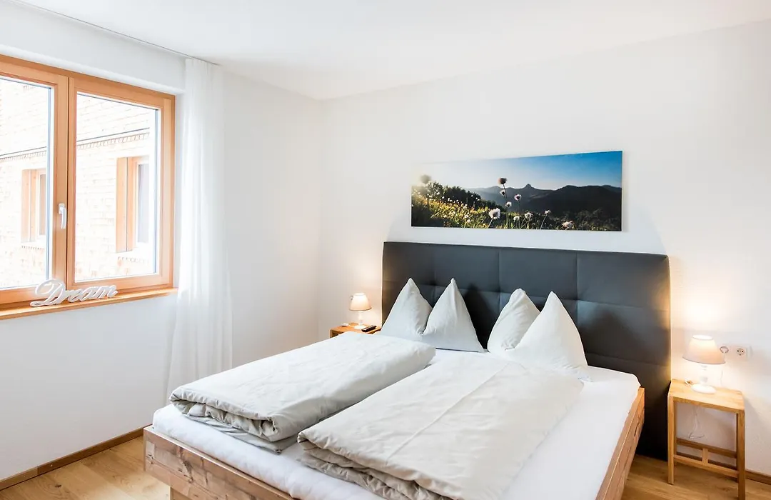 Damüls Appartements-1
