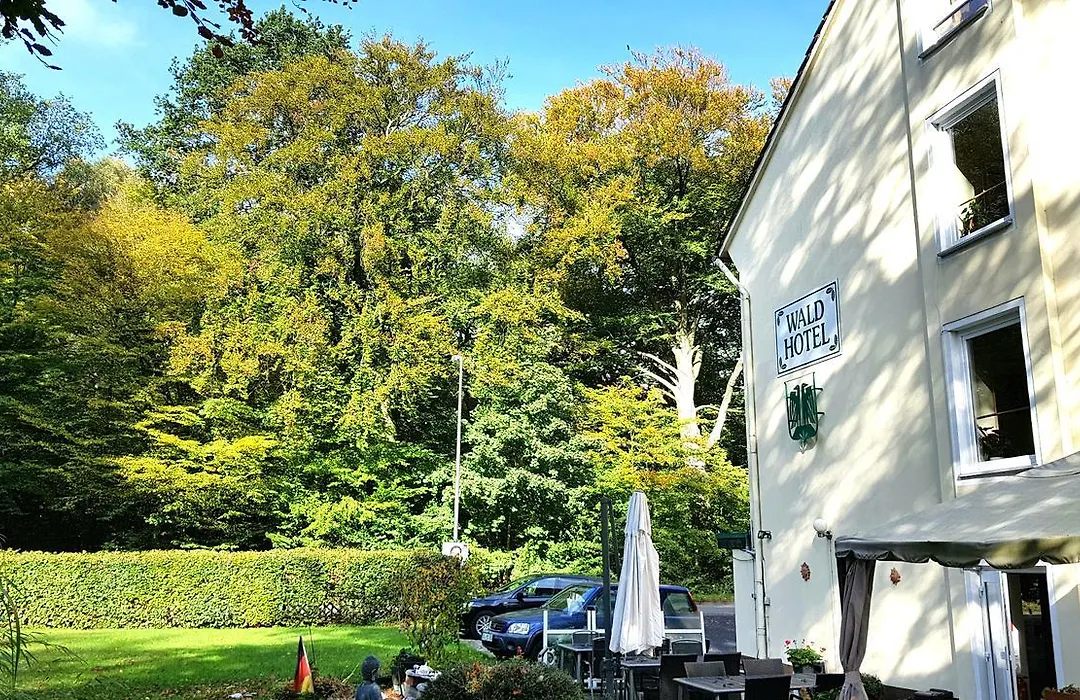 Wald-Hotel-1