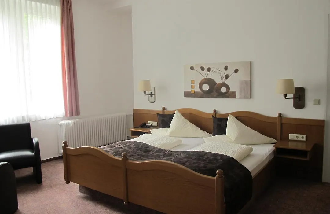 Hotel Anlage Heidelberg-1