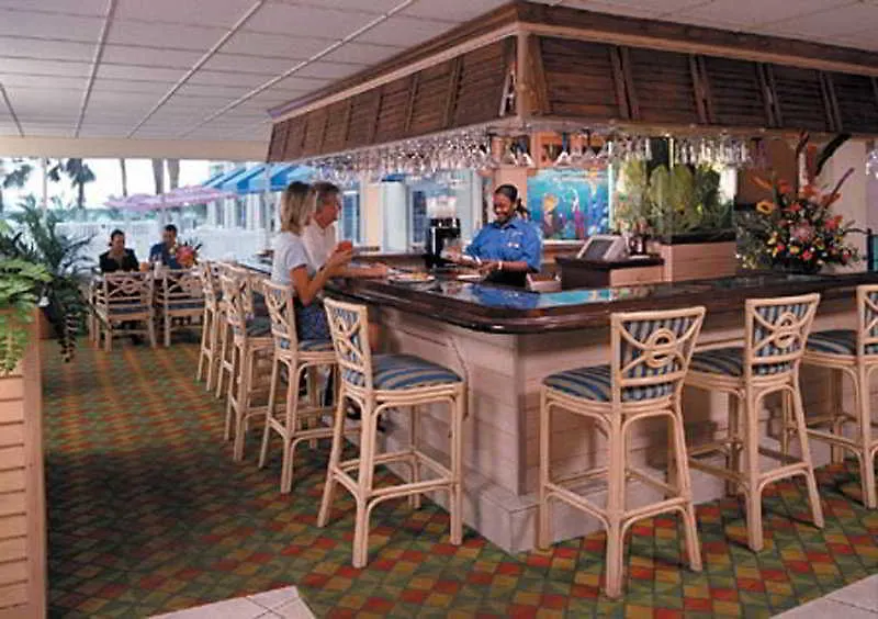 Nassau Palm-1