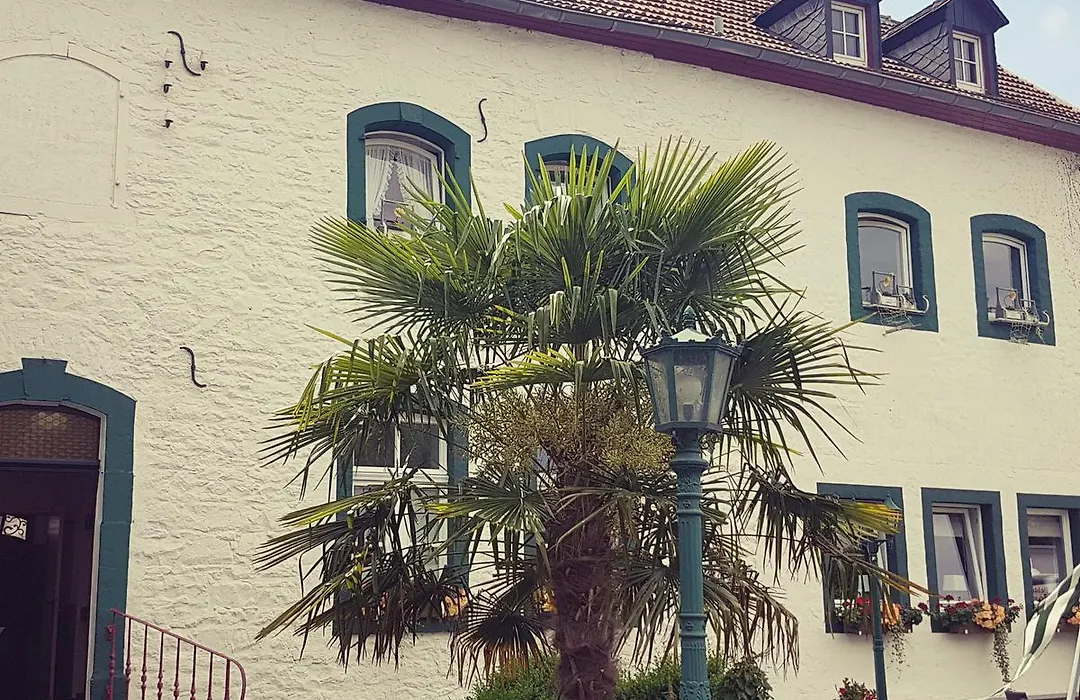 Hotel Restaurant Jägerhof-1