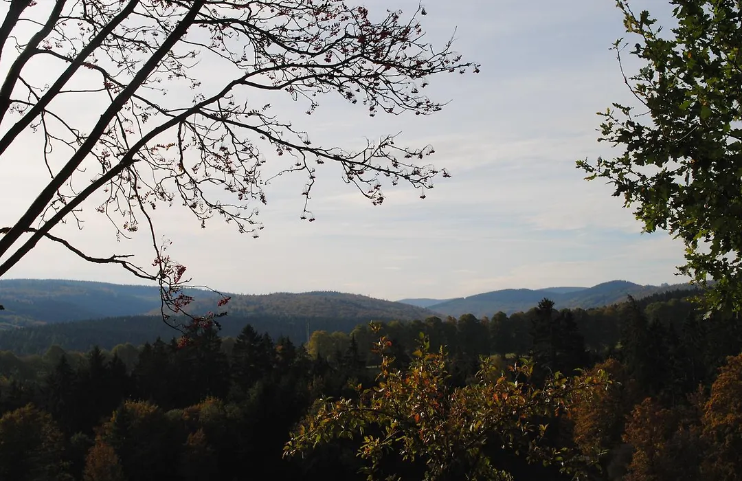 Landgasthof Gruss-1