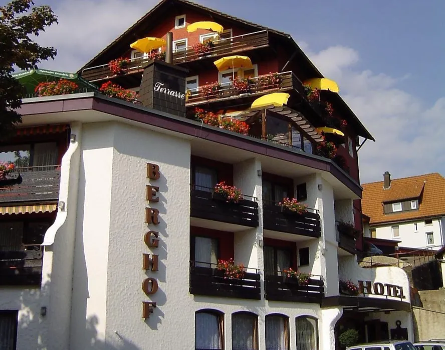 Panoramahotel Berghof-1