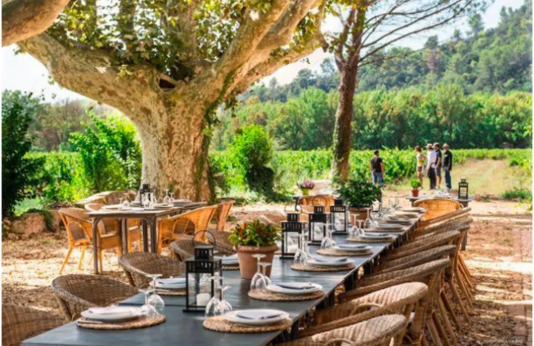 Domaine Regis Freres-1