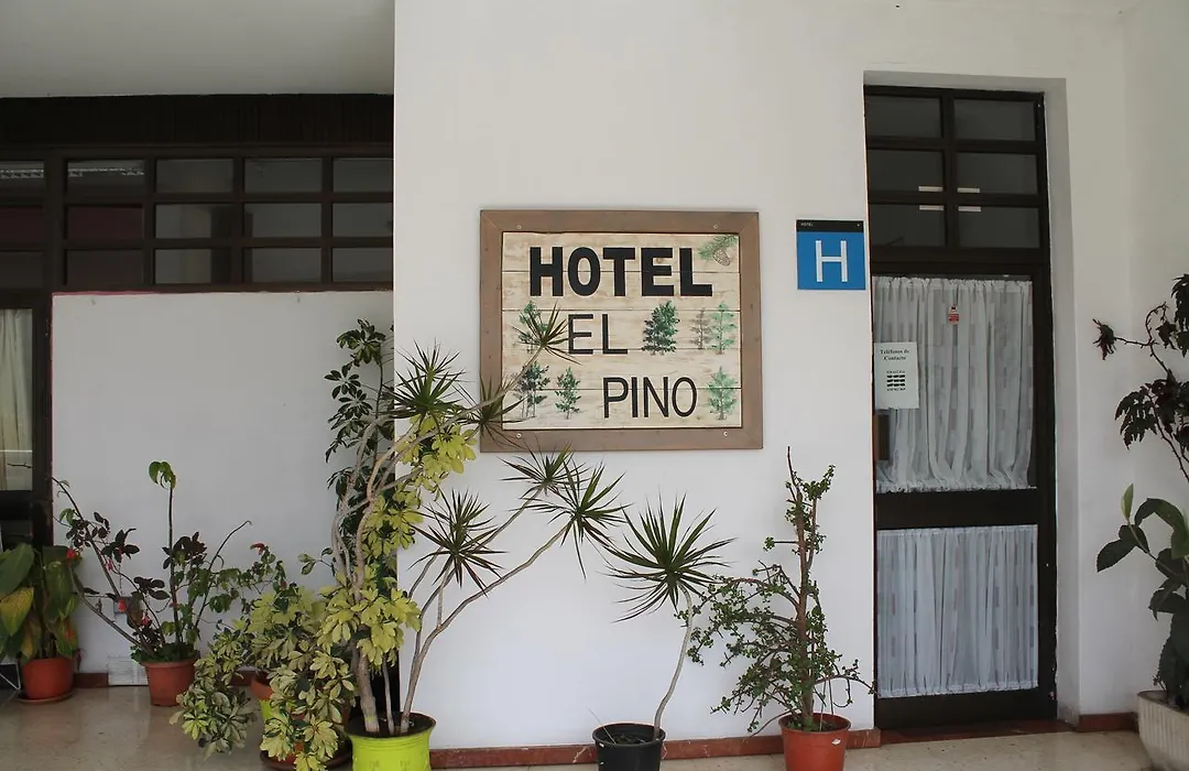 Hotel el Pino-1