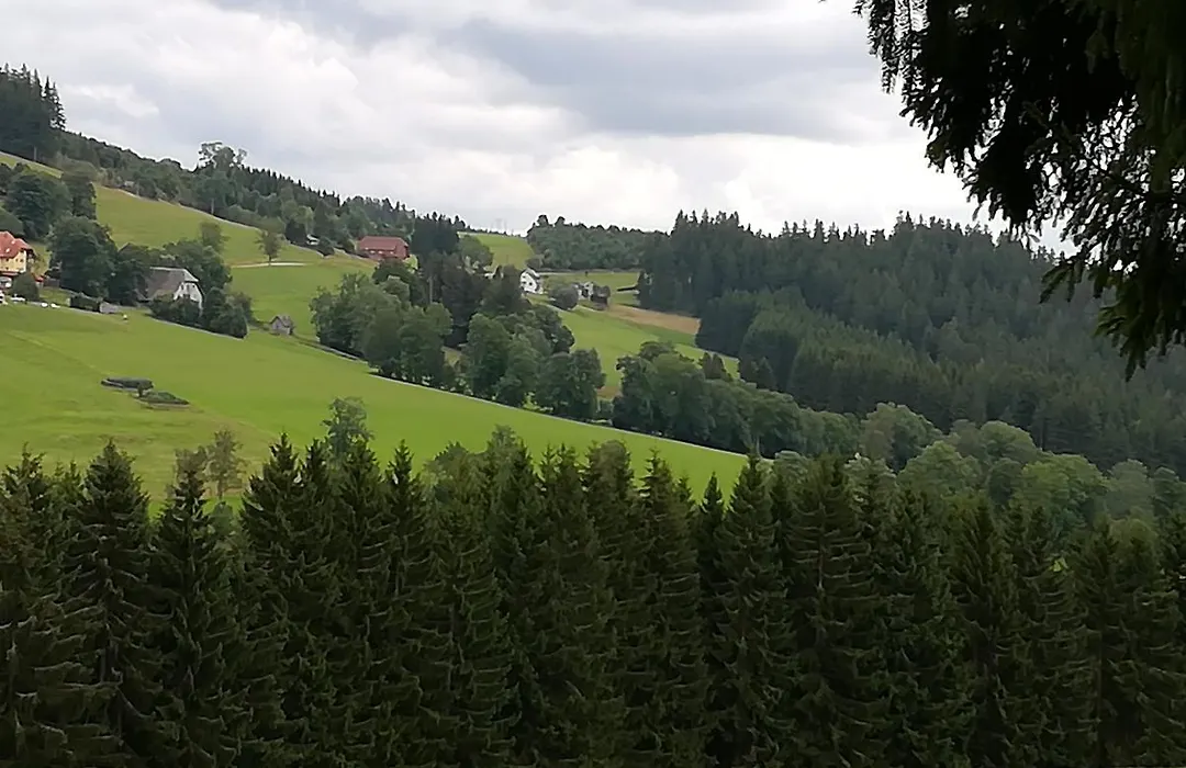 Schwarzwaldgasthaus Salenhof-1