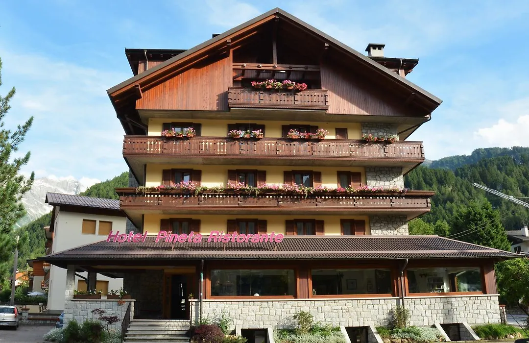Hotel Pineta-1