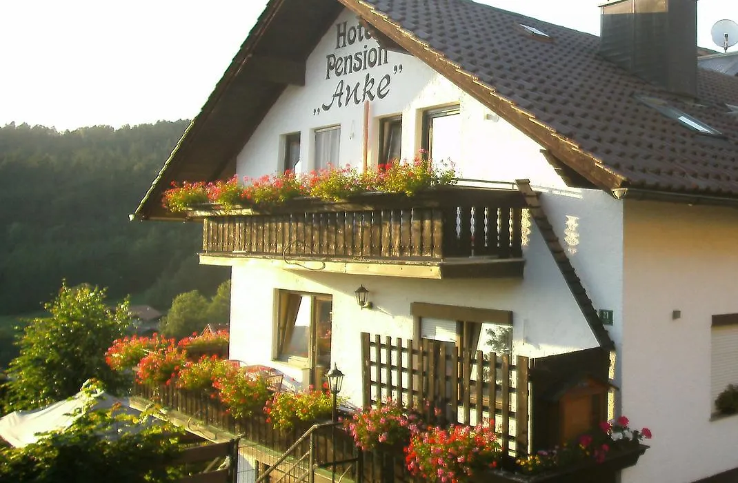 Hotel Pension Anke-1