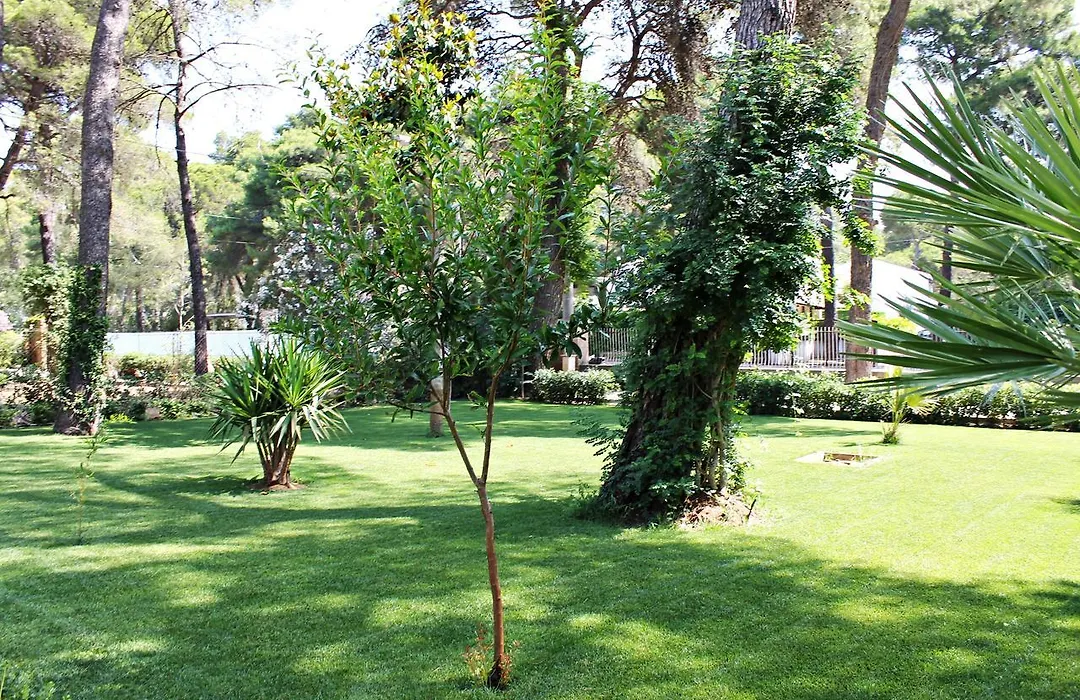 Il Melograno B&B-1