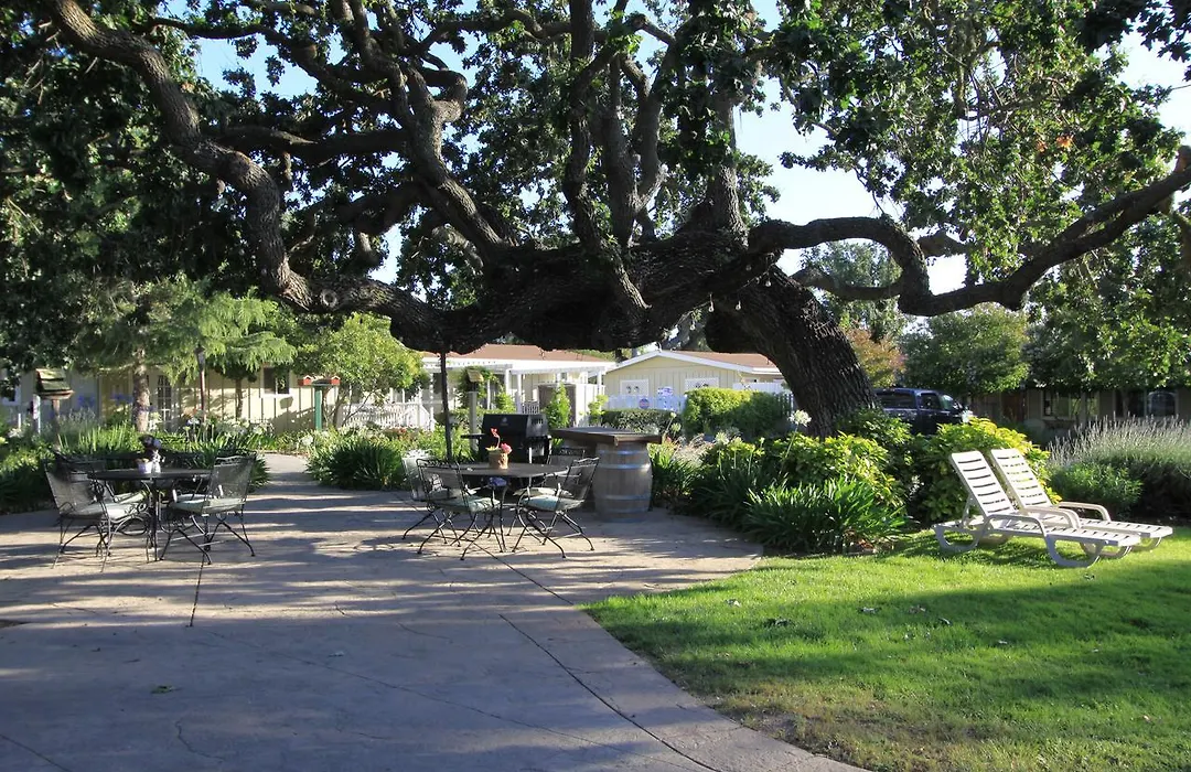 Meadowlark Inn-1