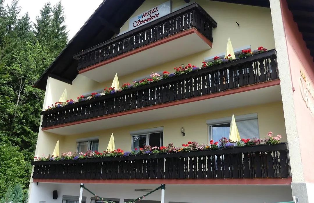 Hotel Sonnleitn-1