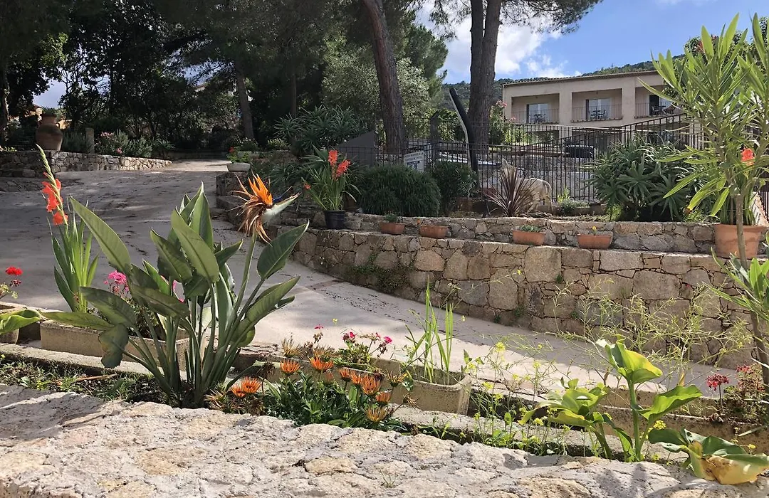 Stella Marina-1