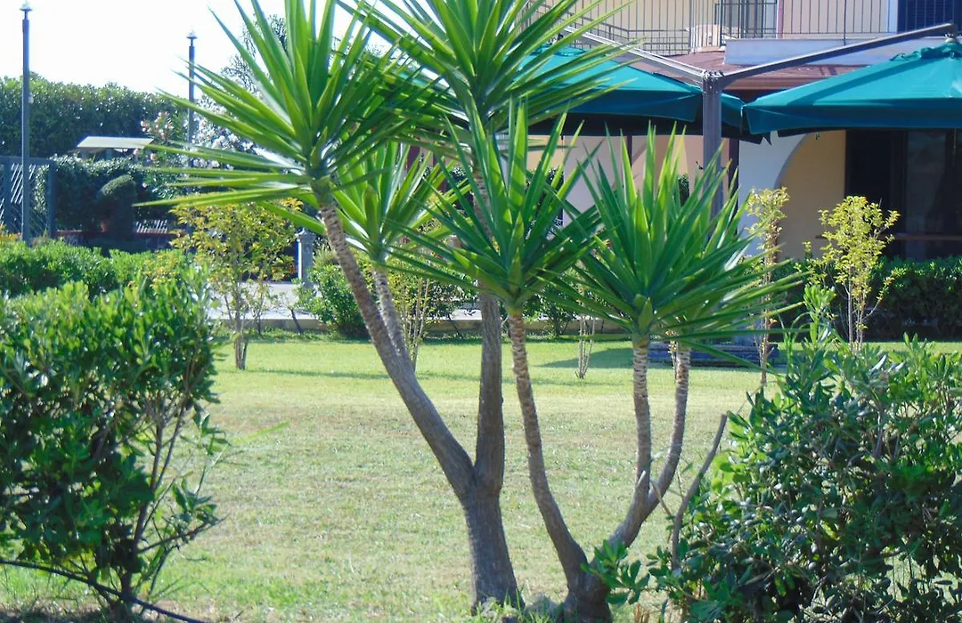 Villa Celeste B&B-1