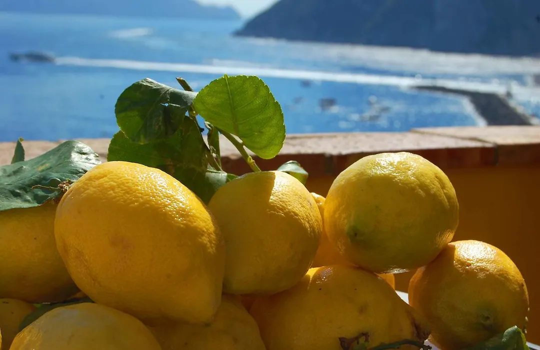 La Terrazza sul Mare-1