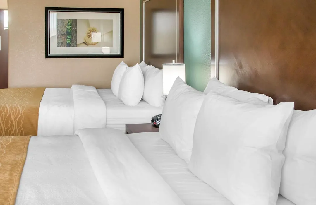 Comfort Inn & Suites San Marcos Near Outlet Mall-1